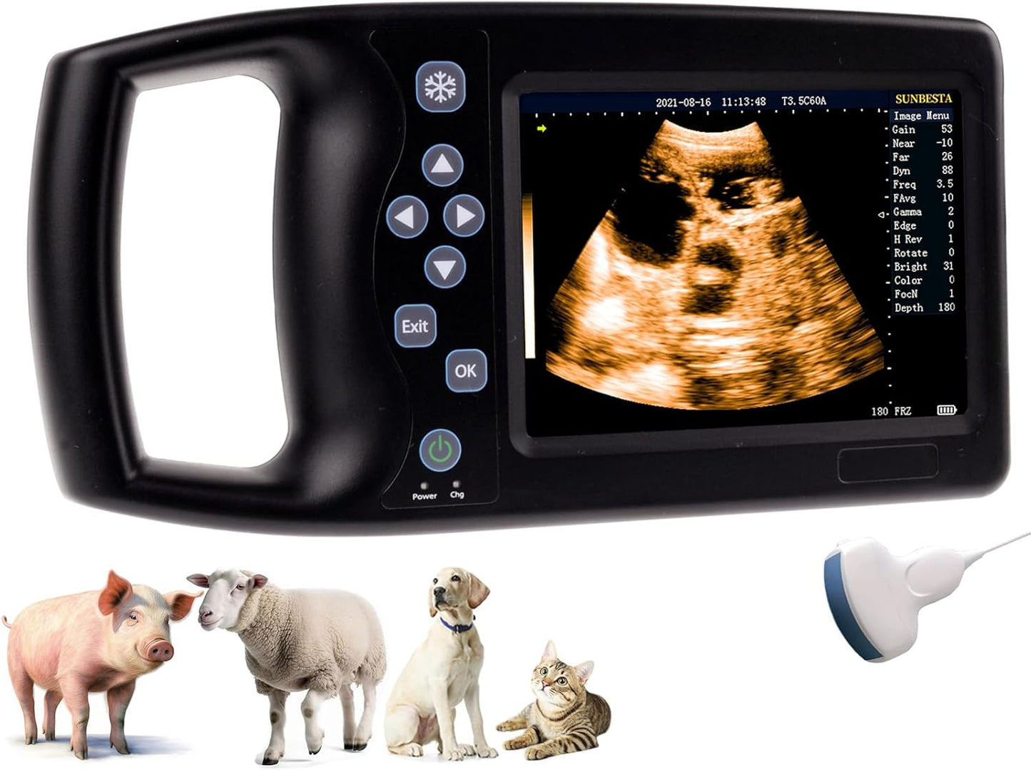 Portable Dog Ultrasound Machine for Pregnancy